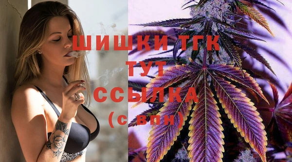 jwh Карпинск