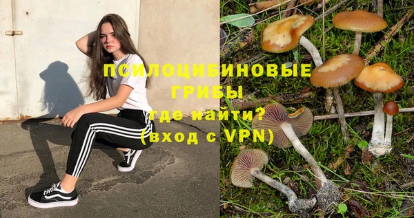 альфа пвп Каменск-Шахтинский